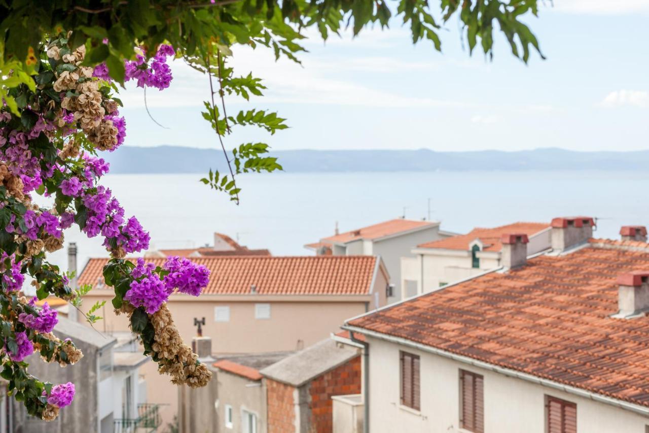Apartments Leut 80M From The Sea Podgora Buitenkant foto